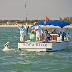 Boca Blue Boat Fisherman Pulling Up Big Fish