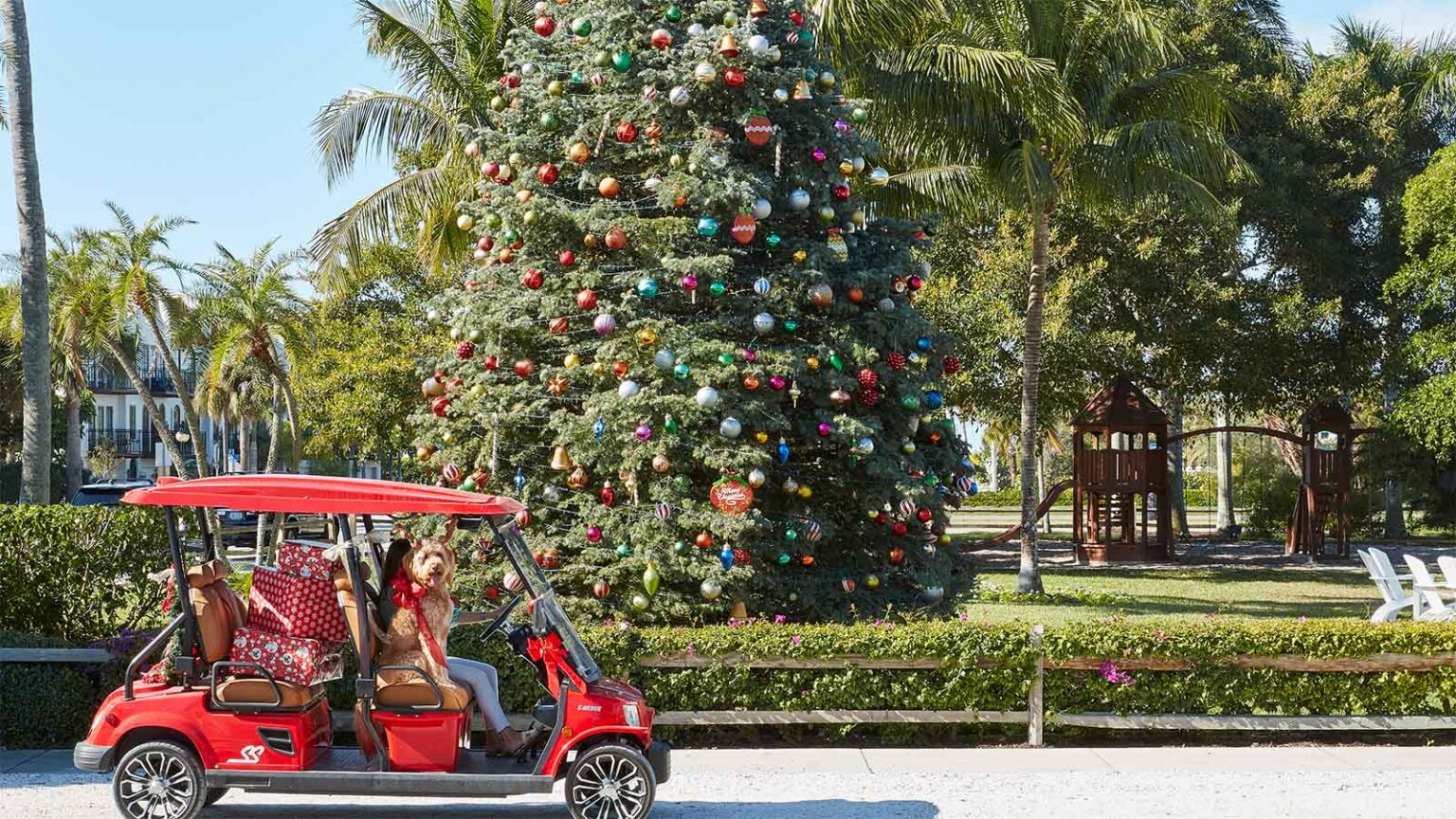 A dog wearing a red bow riding in a red golf cart filled with presents in front of a large Christmas tree