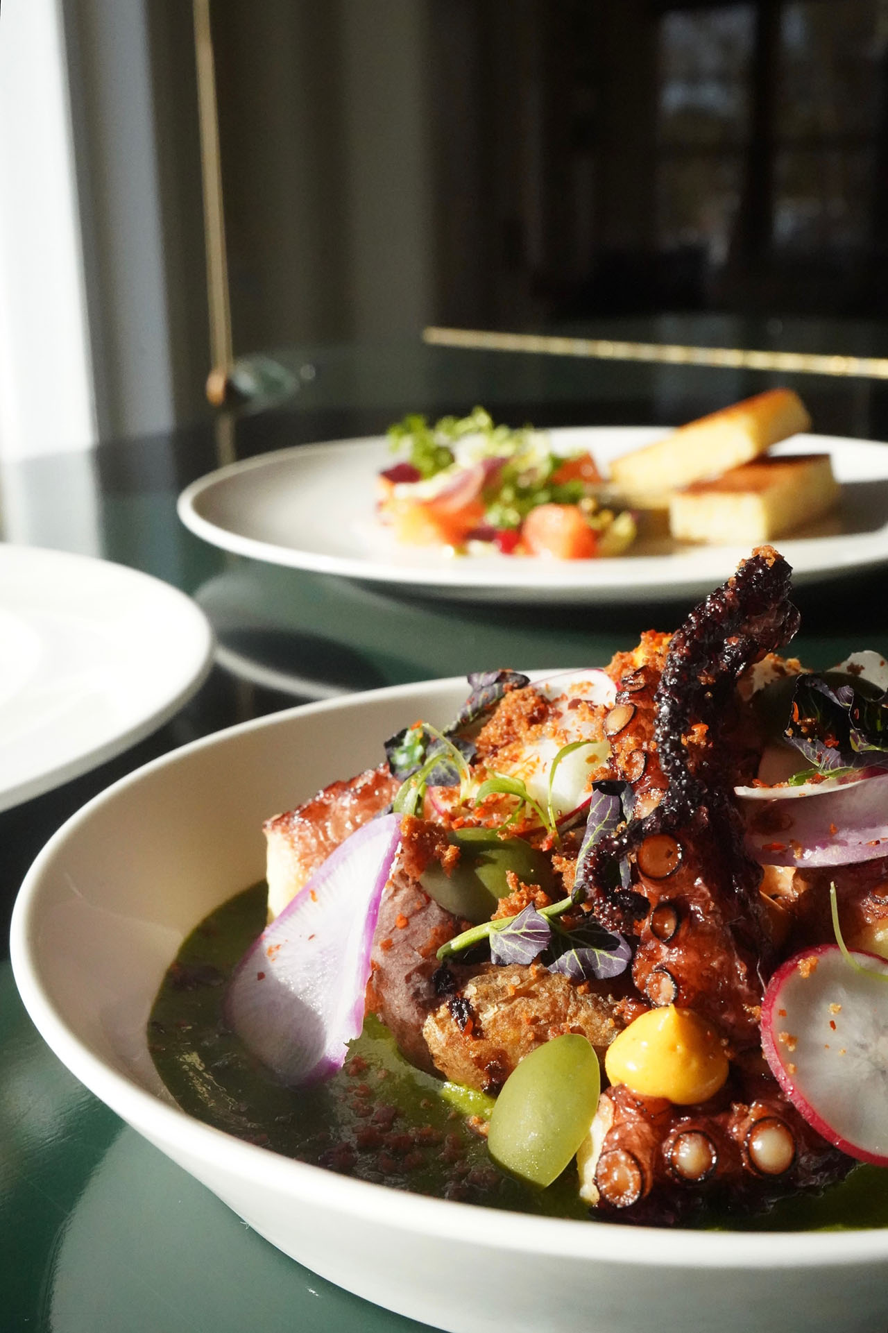Close-up of delicious grilled octopus in a white bowl
