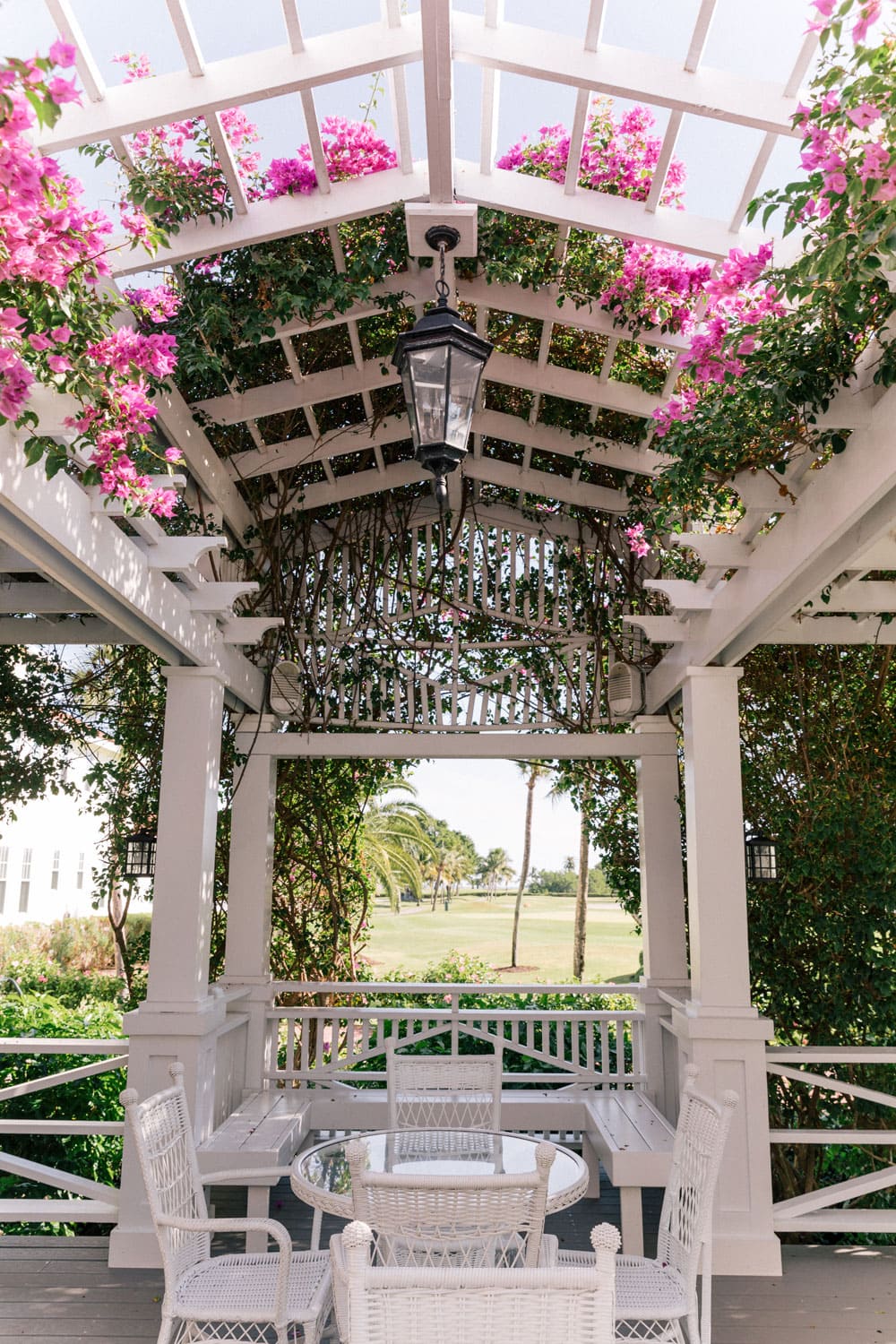 A beautiful white seating area under a large arbor speckled with lush green plants and pink flowers